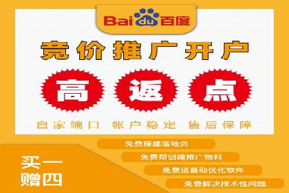 SEM广告投放中的数据监控与调整策略——以某品牌营销案例为例